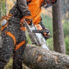 stihl tronconneuse ms 261 c m vw jp 1 jpg