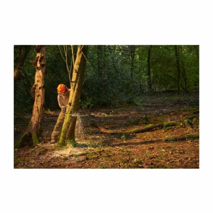 tronconneuse-ryobi-36v-lithiumplus-brushlessbatterie-50ah-1-chargeur-ry36csx35a-150 (1) tronconneuse ryobi 36v lithiumplus brushlessbatterie 50ah 1 chargeur ry36csx35a 150 1 1 jpg